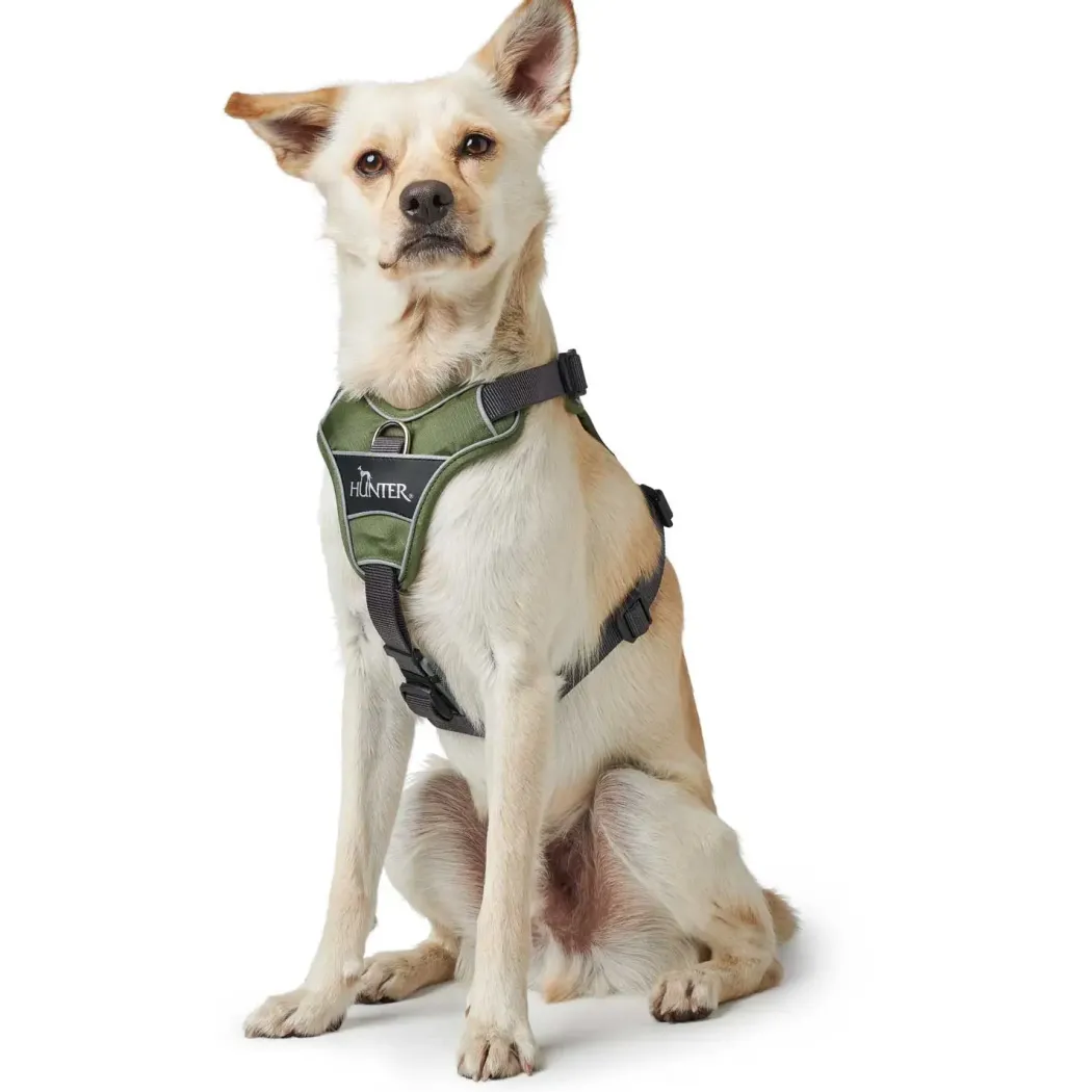 Hunter Divo Up hundesele S-M grøn/grå just mave 52-68 cm - Stabil komfort i hverdagen