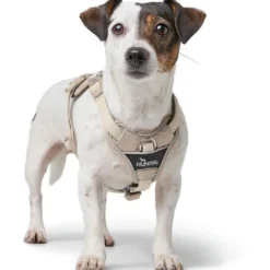 Hunter Divo Up hundesele XS beige just mave 34-47 cm - Nem påtagning og ergonomisk komfort