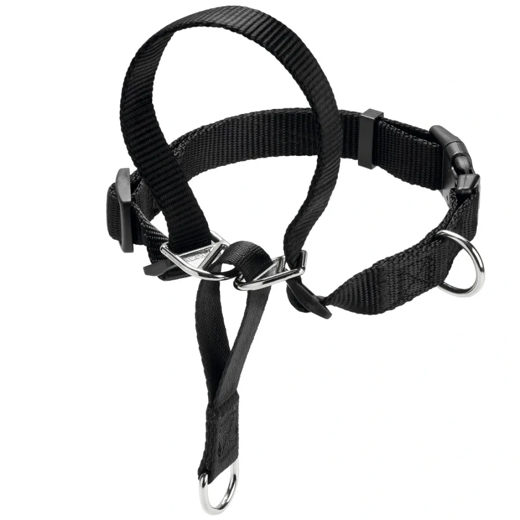 Hunter Follow Me snudesele til hund medium