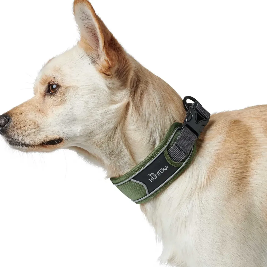 Hunter Halsbånd Divo M Grøn/Grå - justerbart hundehalsbånd (35-45 cm, B 4,5 cm)