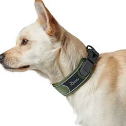 Hunter Halsbånd Divo XL Grøn/Grå - justerbart hundehalsbånd (55-65 cm, B 5,5 cm)