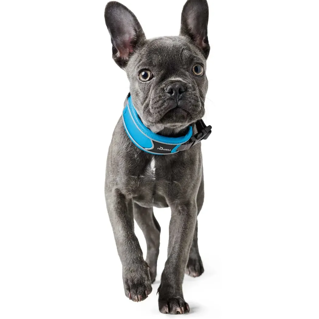 Hunter Halsbånd Divo XL Lyseblå/Grå - justerbart hundehalsbånd (55-65 cm, B 5,5 cm)