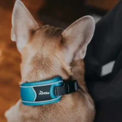 Hunter Halsbånd Divo XL Lyseblå/Grå - justerbart hundehalsbånd (55-65 cm, B 5,5 cm)