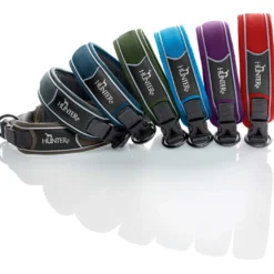 Hunter Halsbånd Divo XL Violet/Grå - justerbart hundehalsbånd (55-65 cm, B 5,5 cm)