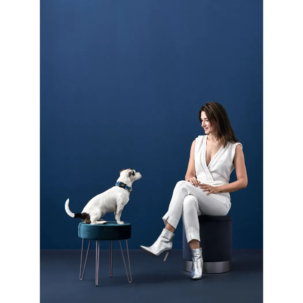 Hunter hunde halsbånd Hilo Blå S-M - justerbart hundehalsbånd (30-43 cm, B 2,5 cm)