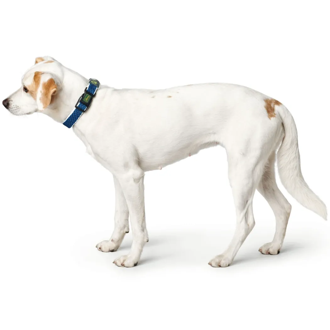 Hunter hunde halsbånd Hilo Blå XL - justerbart hundehalsbånd (45-70 cm, B 3,8 cm)