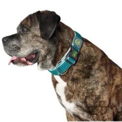 Hunter hunde halsbånd Hilo Turkis XL - justerbart hundehalsbånd (45-70 cm, B 3,8 cm)