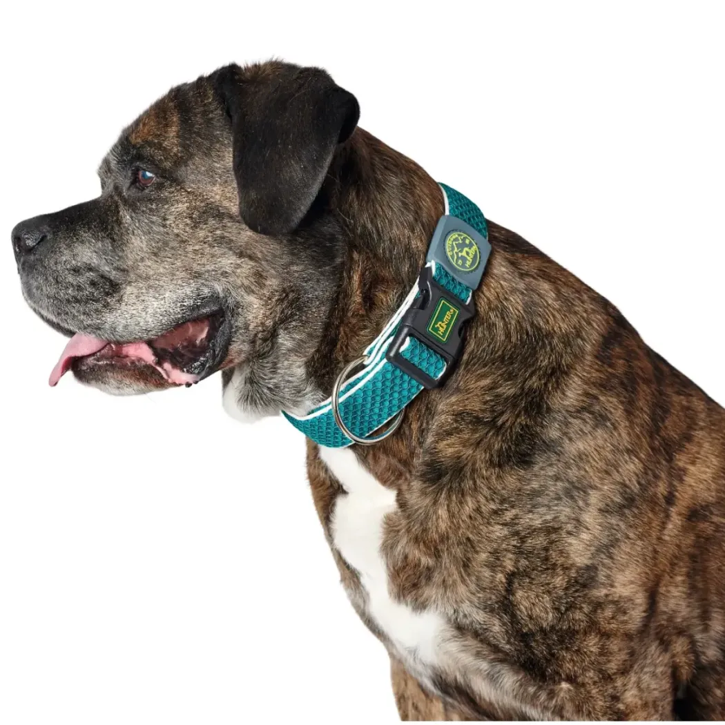 Hunter hunde halsbånd Hilo Turkis XL - justerbart hundehalsbånd (45-70 cm, B 3,8 cm)