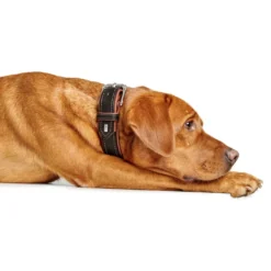 Hunter Hundehalsbånd læder Canada Elg Str.35 Sort/Cognac - 24-30 cm
