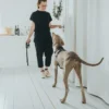 Hunter Hundesele Aalborg Sort XS - 38-52 cm bryst/hals