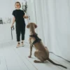 Hunter Hundesele Aalborg Sort S-M/2 - 51-64 cm bryst/hals