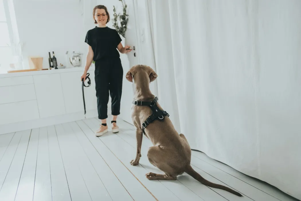 Hunter Hundesele Aalborg Sort M-L/2 - 62-90 cm bryst/hals