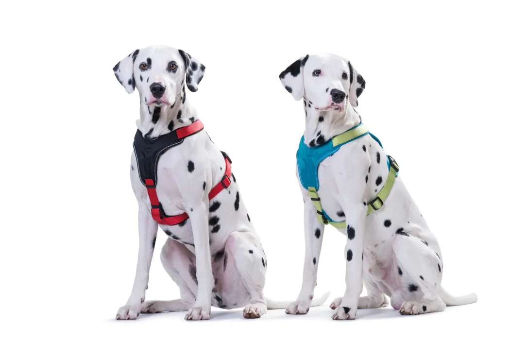 Hunter hundesele Neopren Rød XL længde 73-94 cm 2,5 cm - blød og stabil komfort