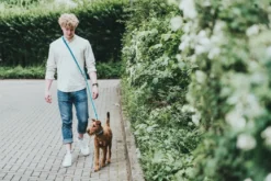 Hunter Hundesnor Hilo Turkis 15/200
