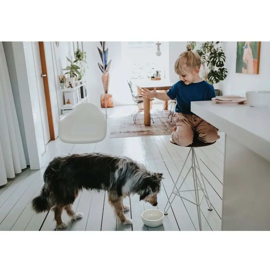 Hunter keramik Lund hunde skål 900 ml Beige