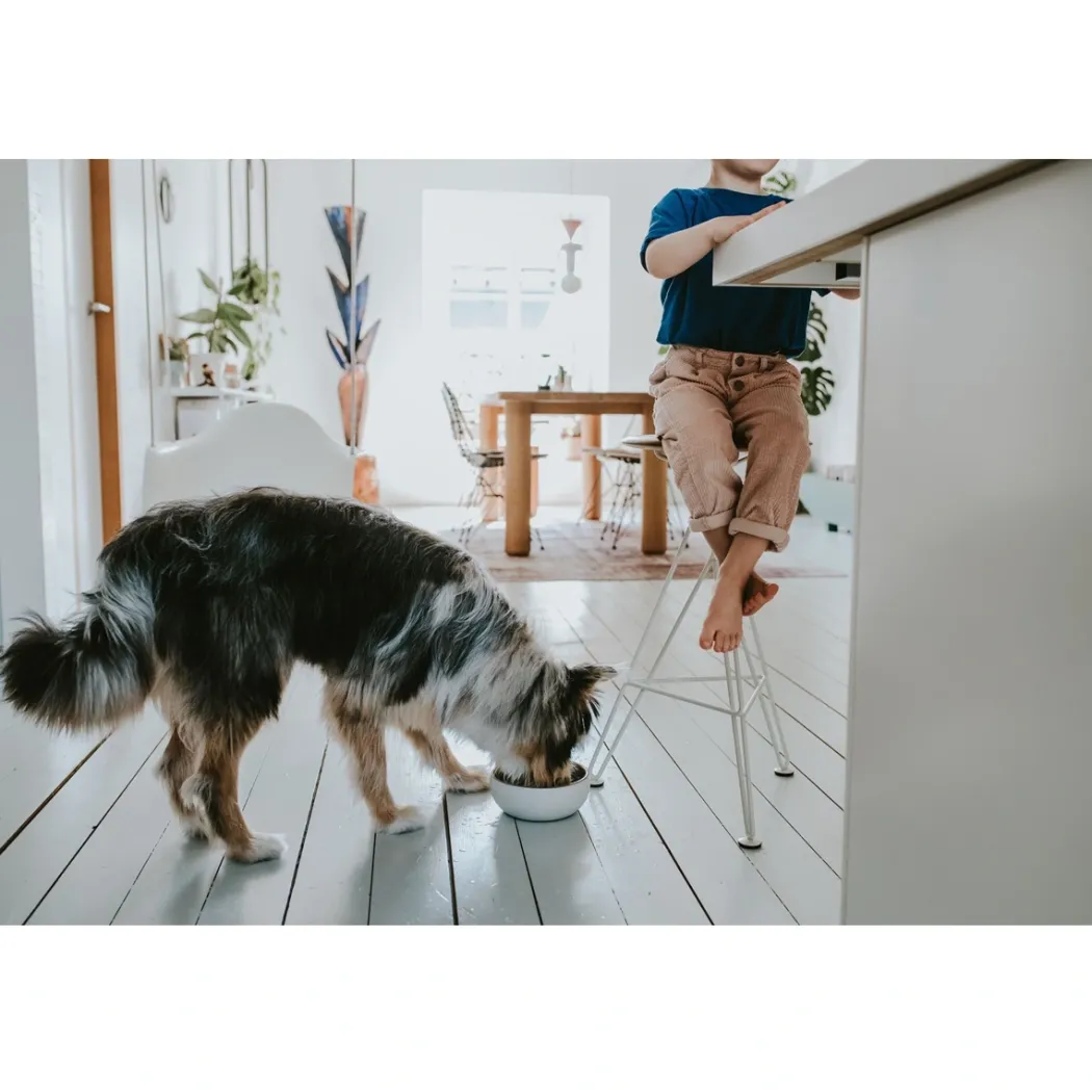 Hunter keramik Lund hunde skål 550 ml Beige