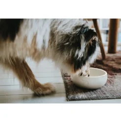 Hunter keramik Lund hunde skål 350 ml Beige