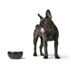 Hunter Keramik Lund Hunde Skål 550 ml Sort