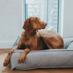Hunter Lancester hundeseng XLarge 120 x 90 cm Grå