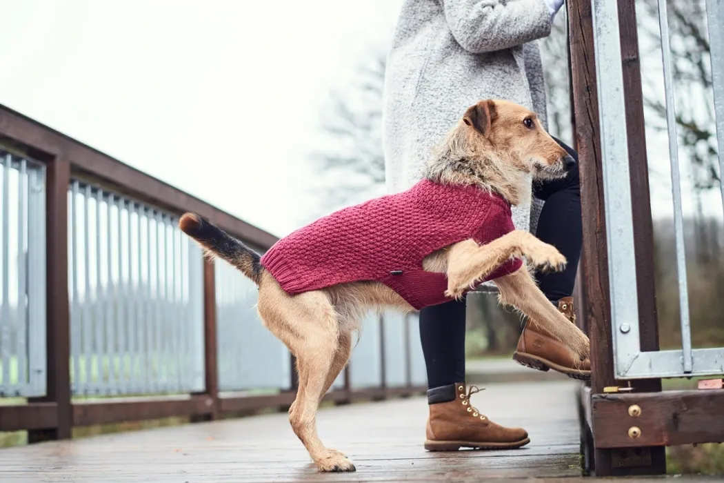 Hunter Malmø pullover strik bordeaux str. 25