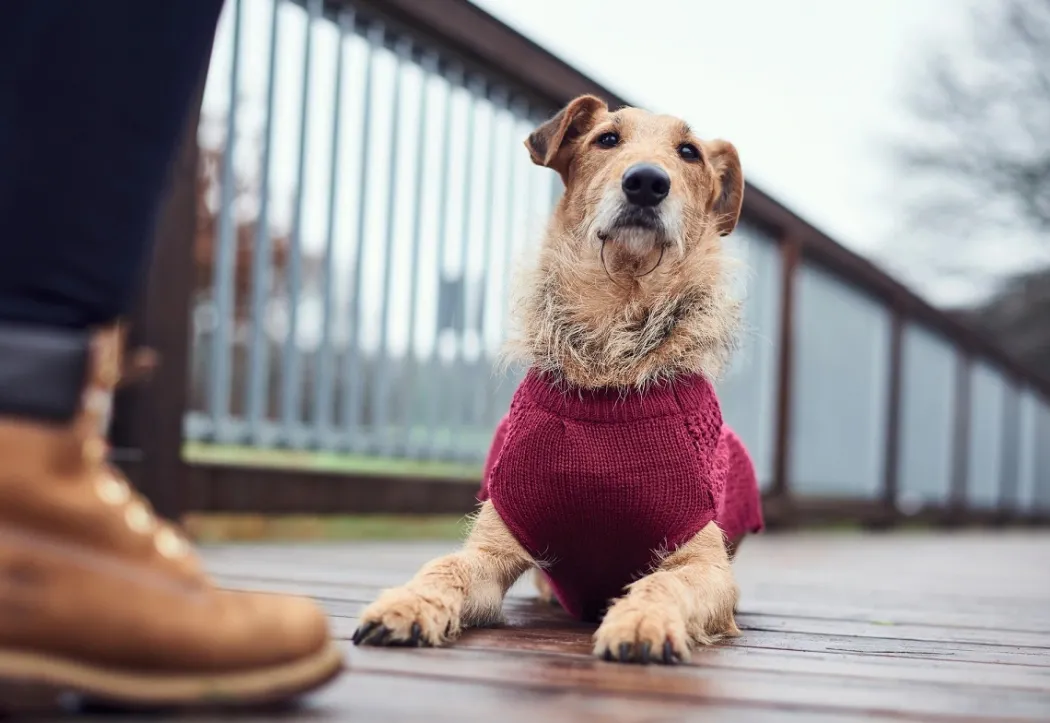 Hunter Malmø pullover strik bordeaux str. 25