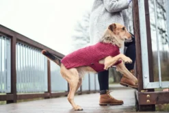Hunter Malmø pullover strik bordeaux str. 30