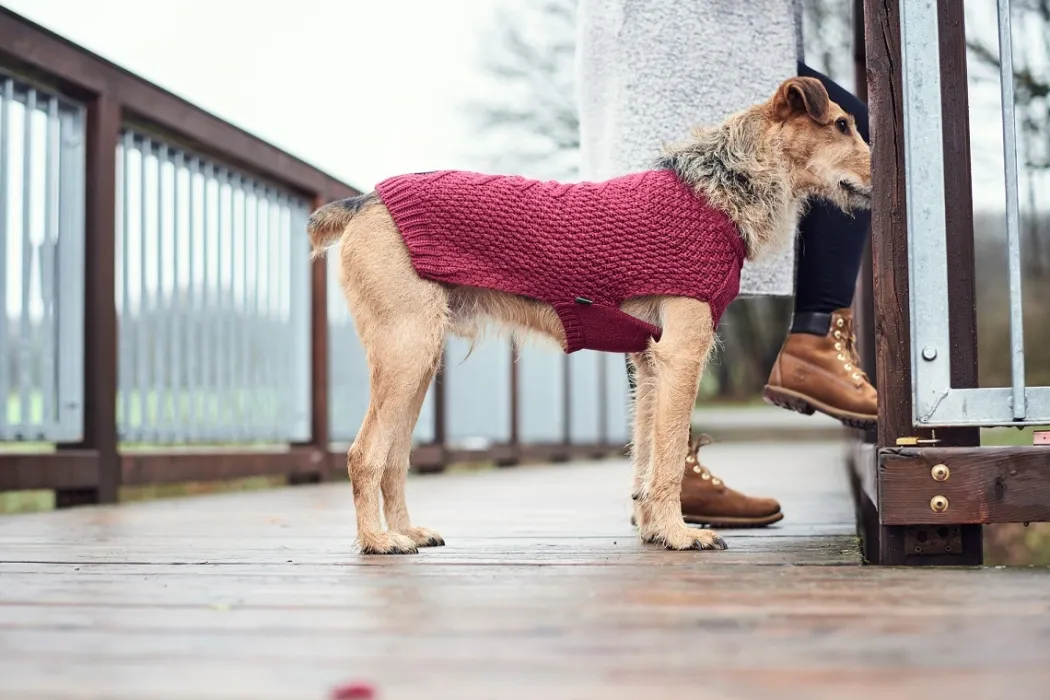 Hunter Malmø pullover strik bordeaux str. 35