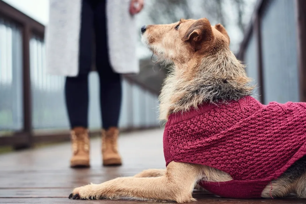 Hunter Malmø pullover strik bordeaux str. 40