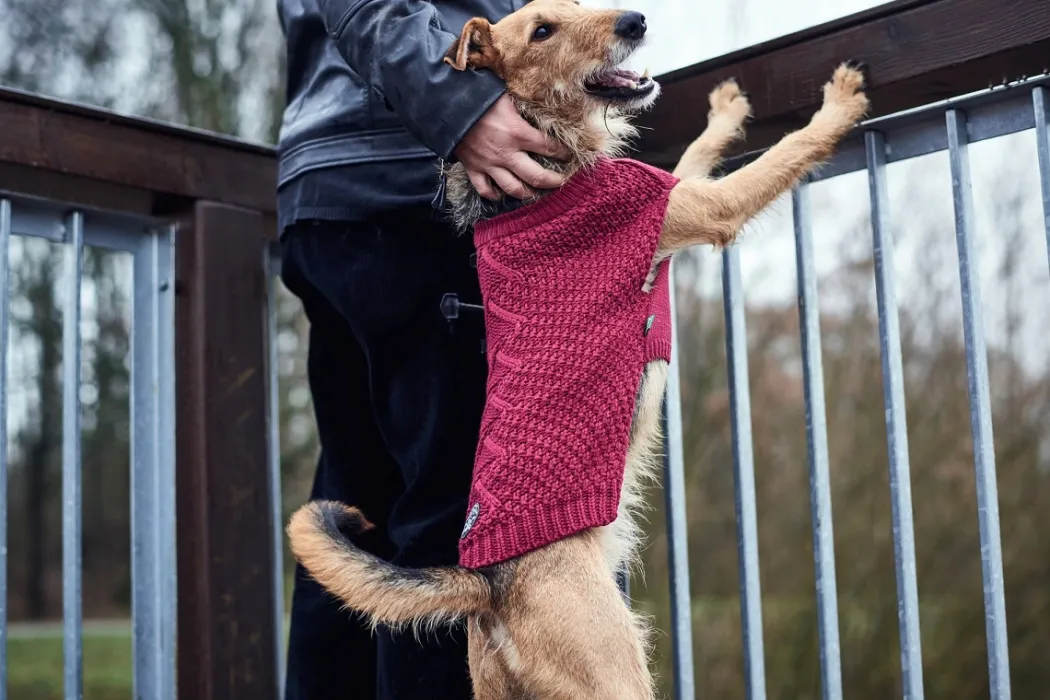 Hunter Malmø pullover strik bordeaux str. 40