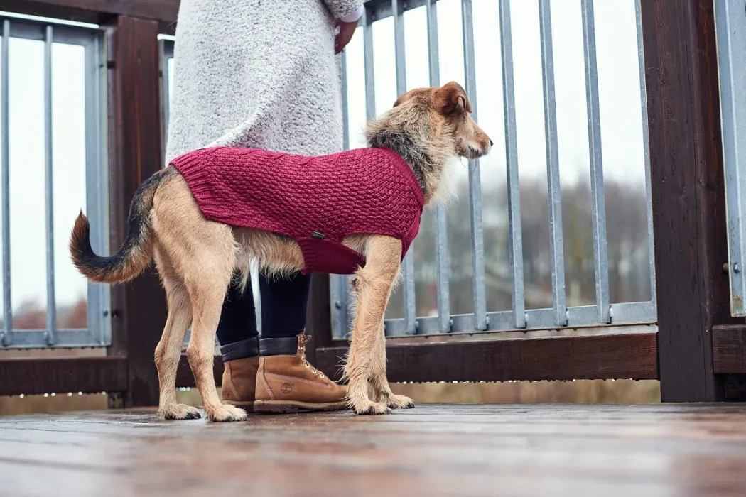 Hunter Malmø pullover strik bordeaux str. 40