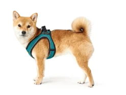 Hunter NY Hilo Comfort hundesele M-L turkis mave/bryst 65-70 cm - Let komfort og synlig pasform