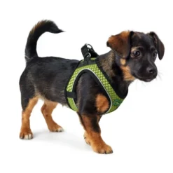 Hunter NY Hilo Comfort hundesele XS lime mave/bryst 36-40 cm - Let komfort og fri bevægelse