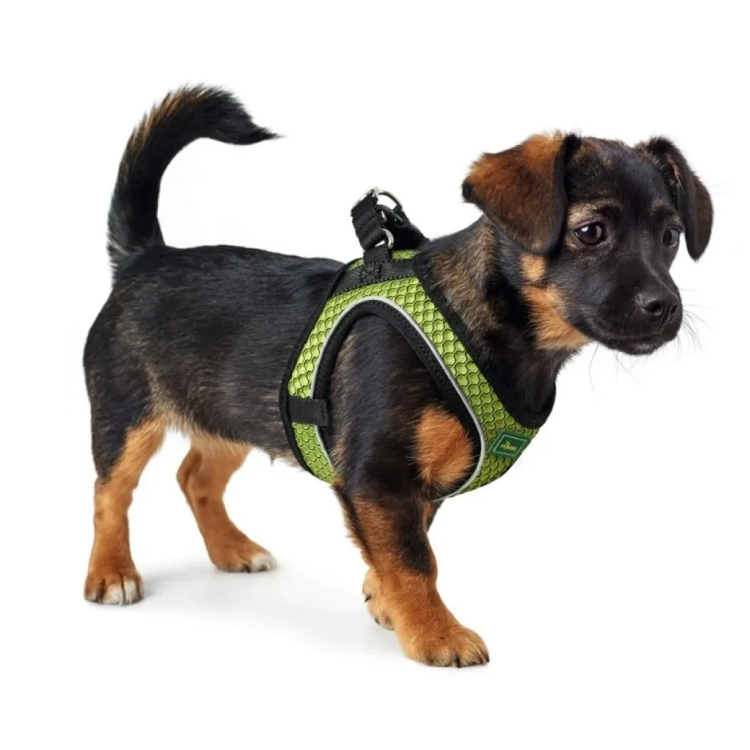 Hunter NY Hilo Comfort hundesele XS-S lime mave/bryst 40-46 cm - Fleksibel komfort til små hunde