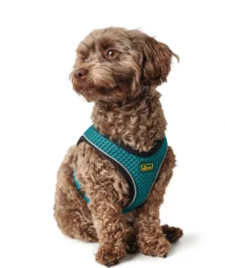Hunter NY Hilo Comfort hundesele XXS turkis mave/bryst 31-33 cm - Ultralet komfort til små hunde