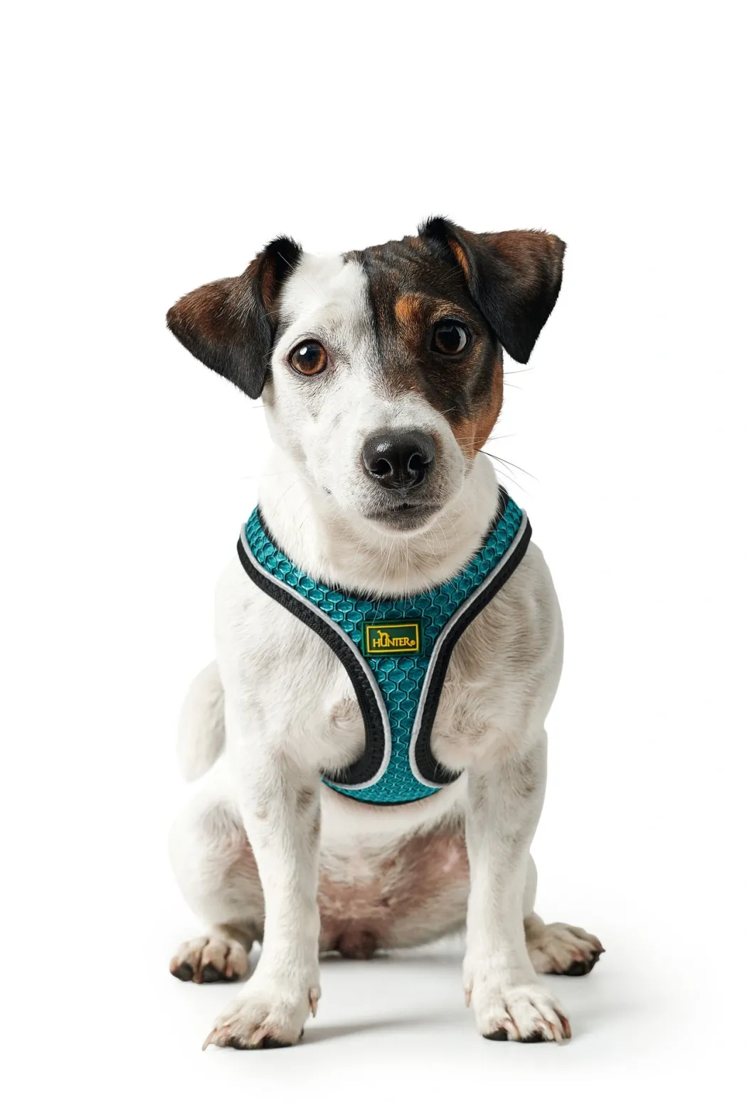 Hunter NY Hilo Comfort hundesele XXS-XS turkis mave/bryst 33-36 cm - Fleksibel let pasform til små hunde