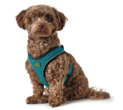 Hunter NY Hilo Comfort hundesele XS-S turkis mave/bryst 40-46 cm - Fleksibel komfort til små hunde