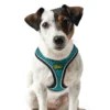 Hunter NY Hilo Comfort hundesele S turkis mave/bryst 46-52 cm - Let komfort og stabil pasform