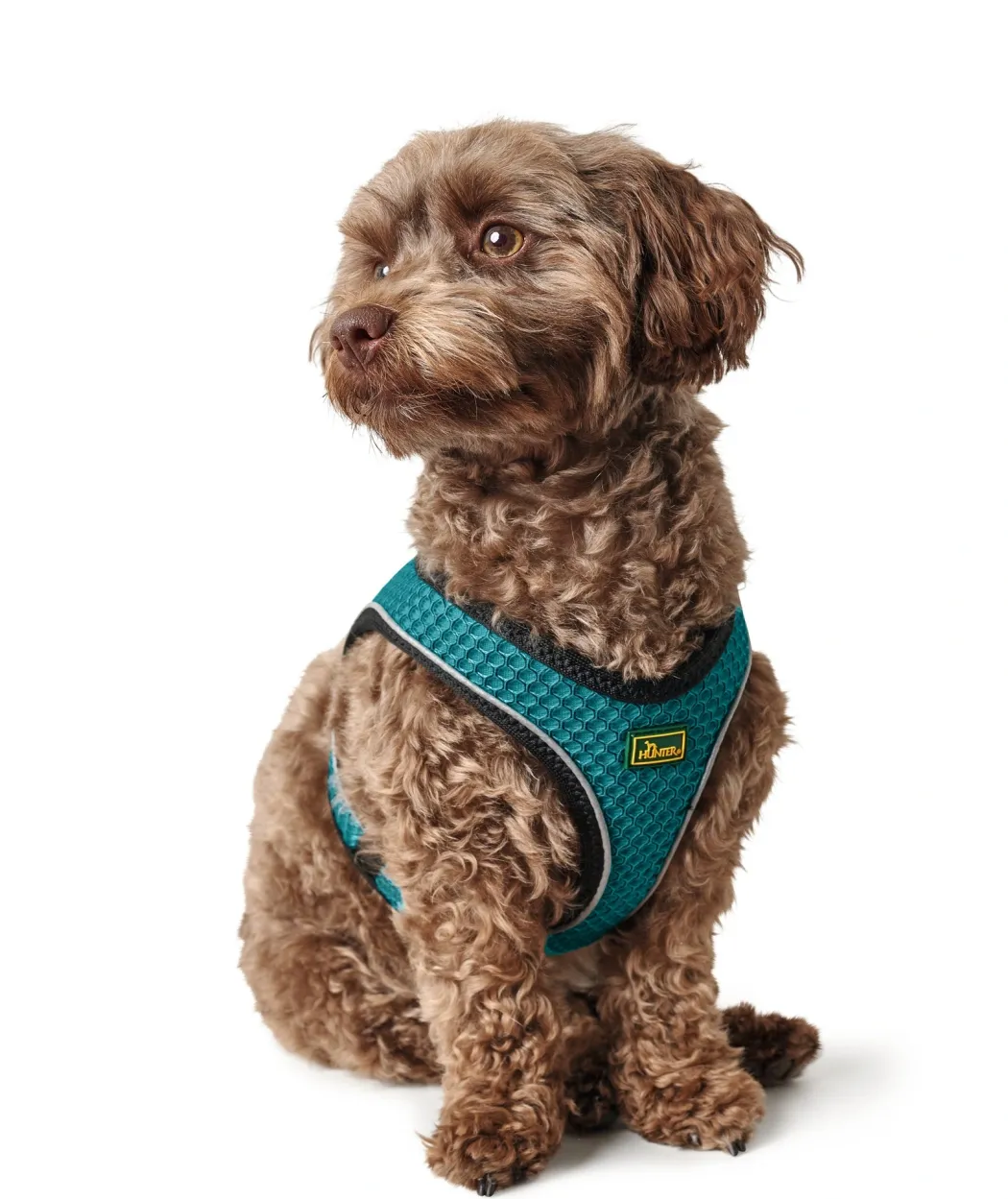 Hunter NY Hilo Comfort hundesele S turkis mave/bryst 46-52 cm - Let komfort og stabil pasform