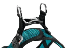 Hunter NY Hilo Comfort hundesele S turkis mave/bryst 46-52 cm - Let komfort og stabil pasform