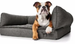 Hunter ortopædisk hundesofa Livingston Large 100 x 80 cm Antracit