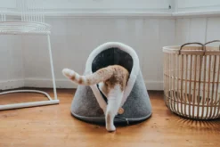 Hunter Skive Kattehule Grå