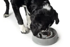 Hunter Slow Feeding 900 ml Grå