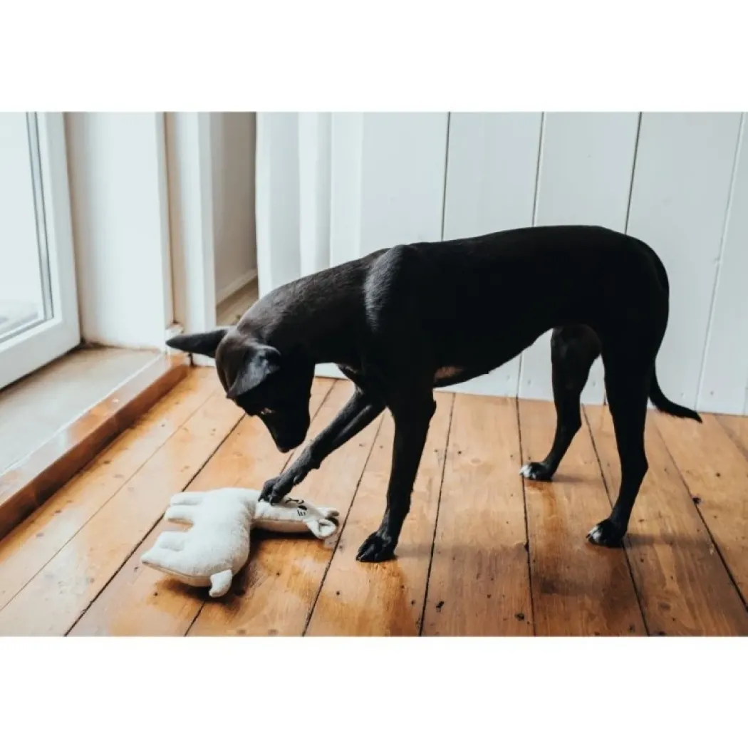 Hunter Tirana Lama S - bamse til små hunde