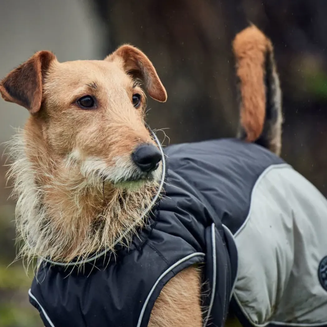 Hunter Uppsala Hundefrakke Grå 30 cm