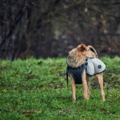 Hunter Uppsala Hundefrakke Grå 60