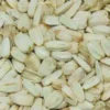 Hvide solsikker 2,5 kg