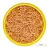 JBL ProNovo Betta Insektsticks S 100 ml