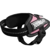 Julius K9 hundesele IDC Pink str 4