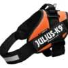 Julius K9 hundesele IDC str 3 Orange