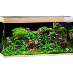 Juwel Akvarium Led Rio 350 Eg 121x51x66 cm 350 L